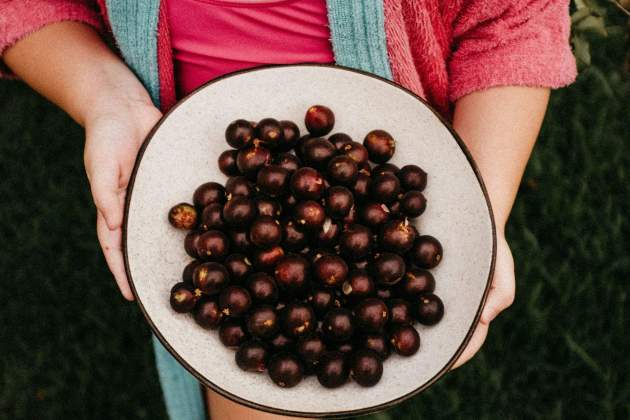 La jabuticaba es muy rica en antioxidantes / Foto: Unsplash La jabuticaba es muy rica en antioxidantes / Foto: Unsplash