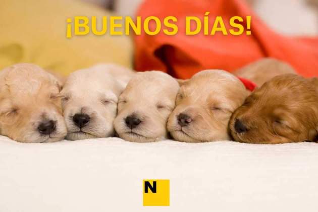 IMÁGENES BUENOS DÍAS (5) IMÁGENES BUENOS DÍAS (5)