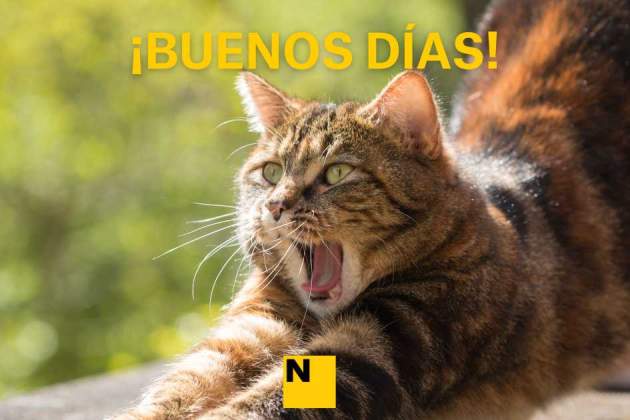 IMÁGENES BUENOS DÍAS (10) IMÁGENES BUENOS DÍAS (10)