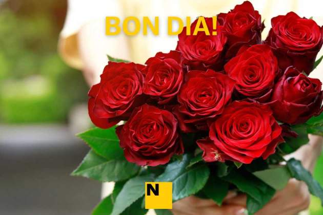 IMATGES BON DIA (7) IMATGES BON DIA (7)
