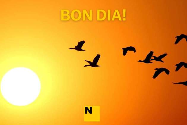 IMATGES BON DIA (5) IMATGES BON DIA (5)