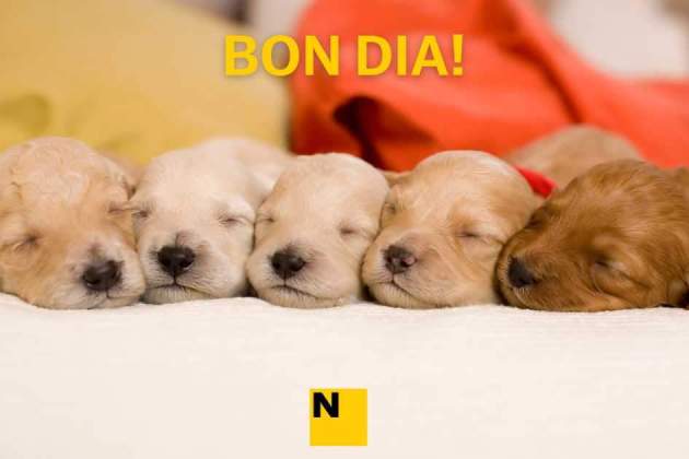 IMATGES BON DIA (4) IMATGES BON DIA (4)