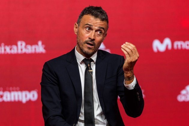 Luis Enrique presentació Espanya   EFE (2)