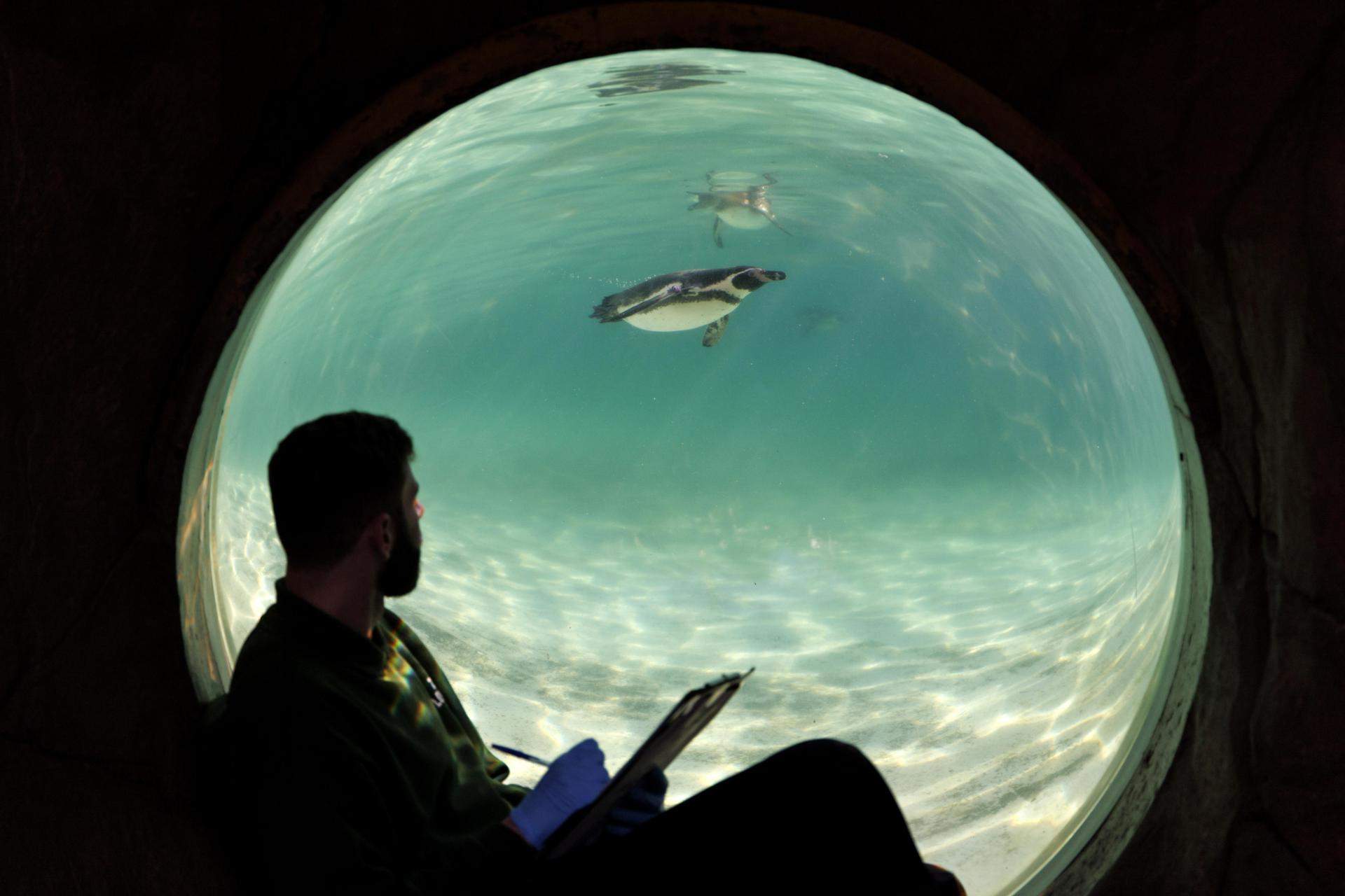 Londres (Reino Unido)