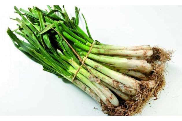 Els calçots van ser el resultat d'un experiment de cultius / Foto: Unsplash Els calçots van ser el resultat d'un experiment de cultius / Foto: Unsplash
