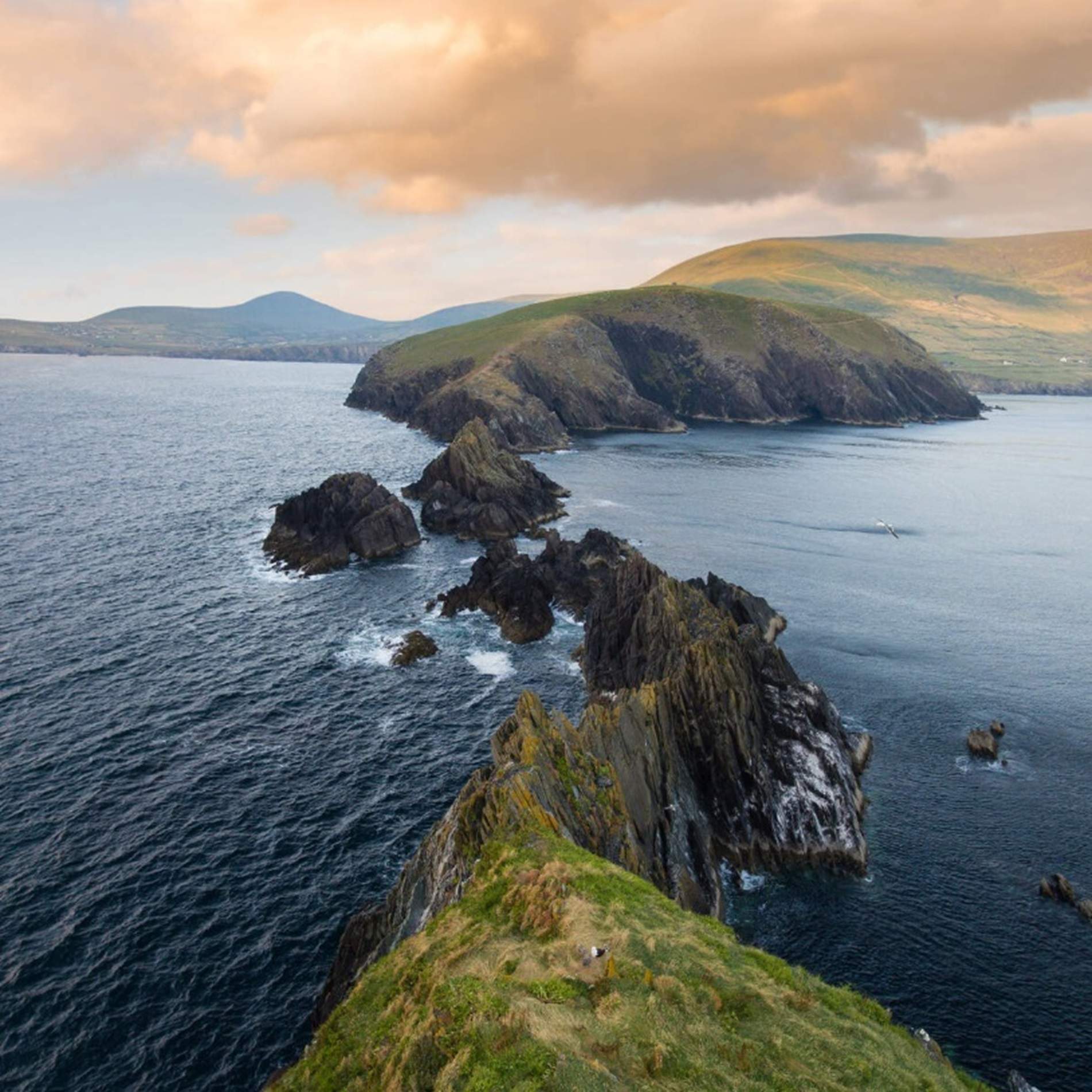 Dingle. Peña segados de Dun Chaoin. Fuente Oficina de Turismo del condado de Kerry Dingle. Peña segados de Dun Chaoin. Fuente Oficina de Turismo del condado de Kerry