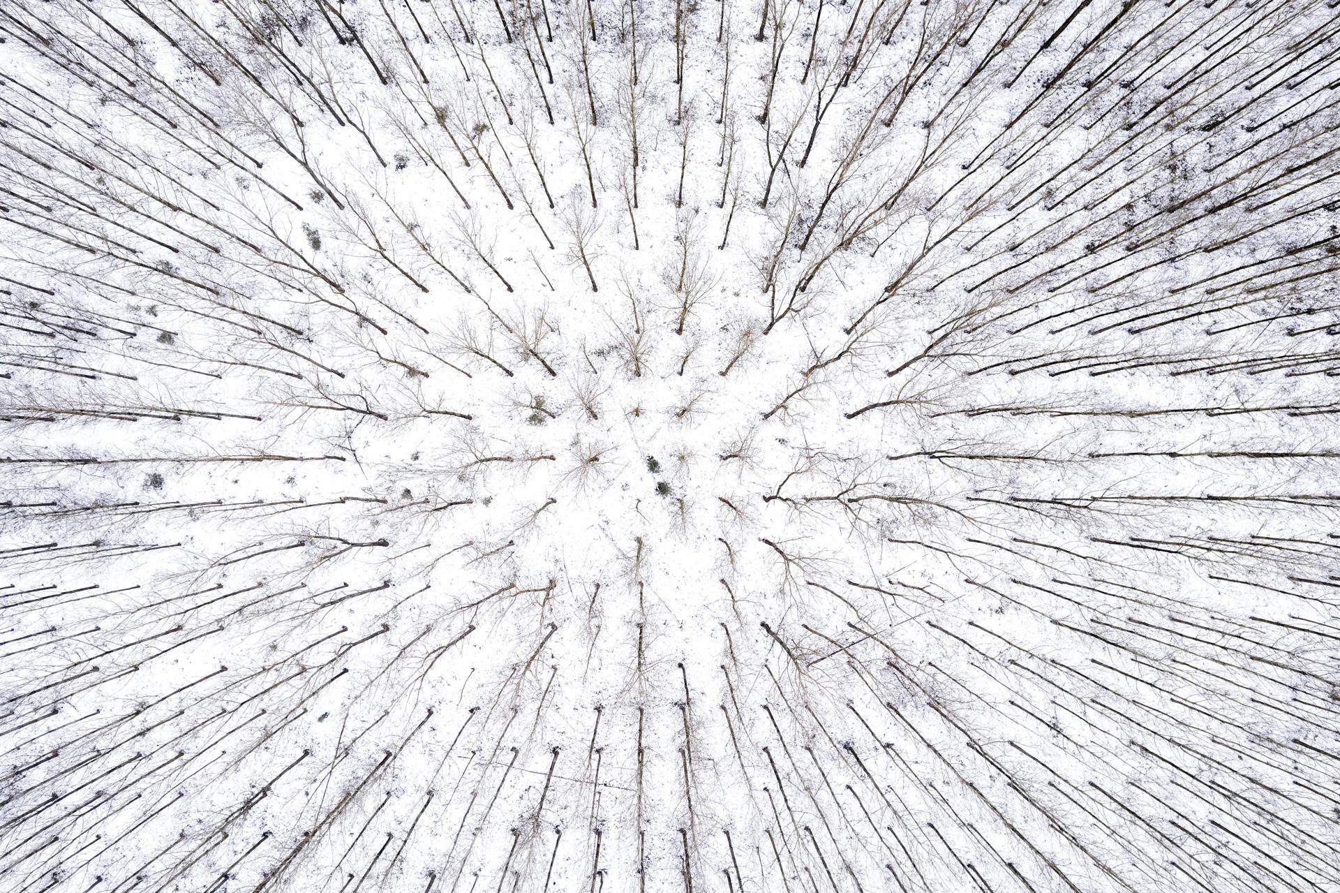 Hajdusamson (Hungría)