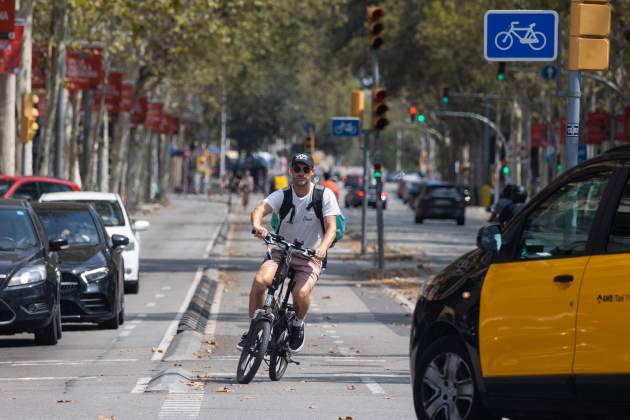 bicicleta ciclista barcelona carril bici foto miquel muñoz