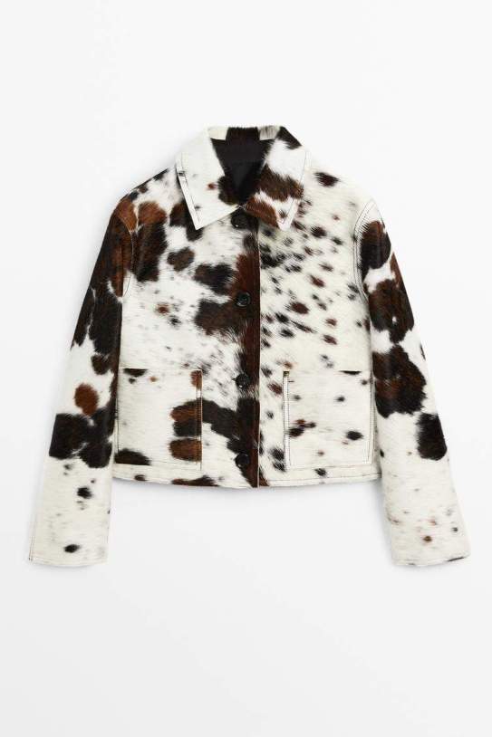 Jaqueta de Massimo Dutti Jaqueta de Massimo Dutti