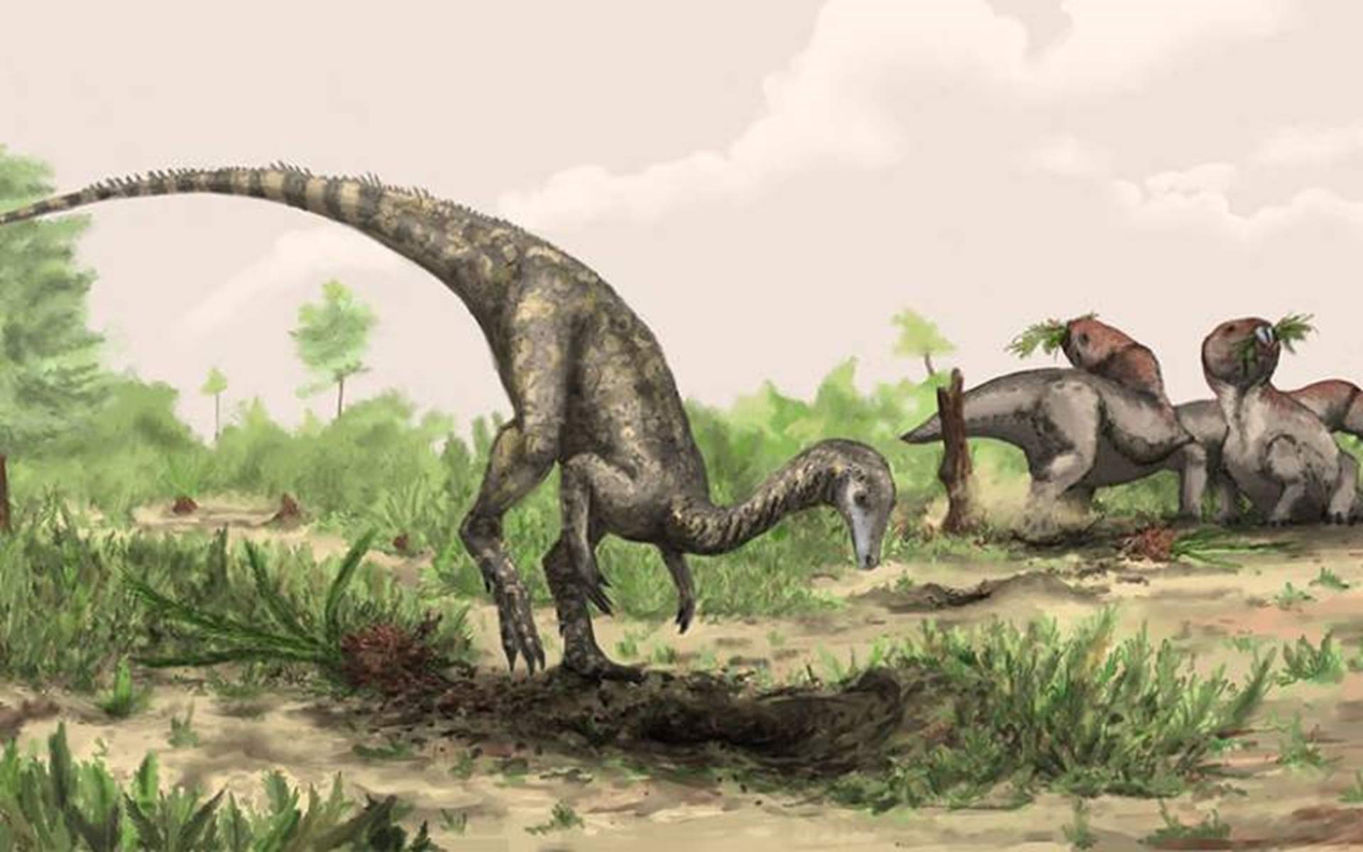 Nou gir en l'origen dels dinosaures: milions d'anys abans i encara hi ha fòssils a Sud-amèrica i l'Àfrica
