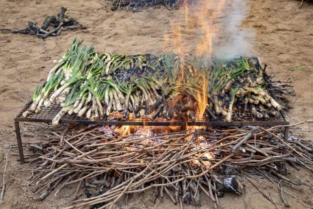 Calçots, una tradició catalana Calçots, una tradició catalana