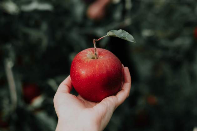 priscilla du preez CoqJGsFVJtM unsplash priscilla du preez CoqJGsFVJtM unsplash