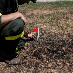 agents rurals estudi incendi - Carles Palacio agents rurals estudi incendi - Carles Palacio