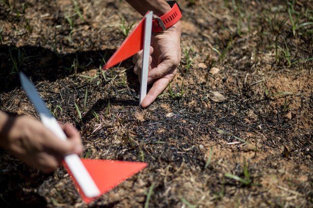 agents rurals estudi incendi - Carles Palacio