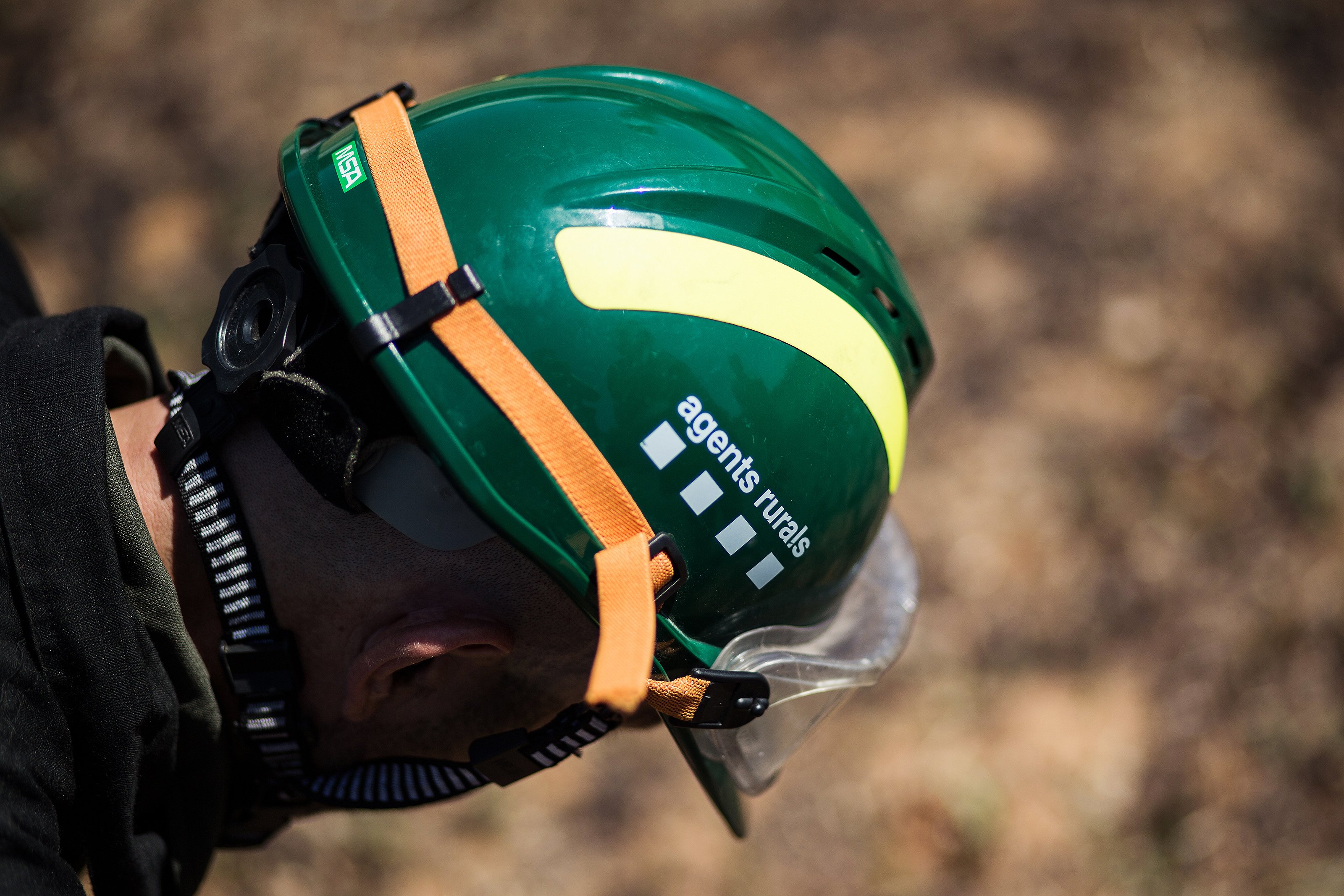 Menos incendios y menos hectáreas quemadas en uno de los peores veranos de los últimos años