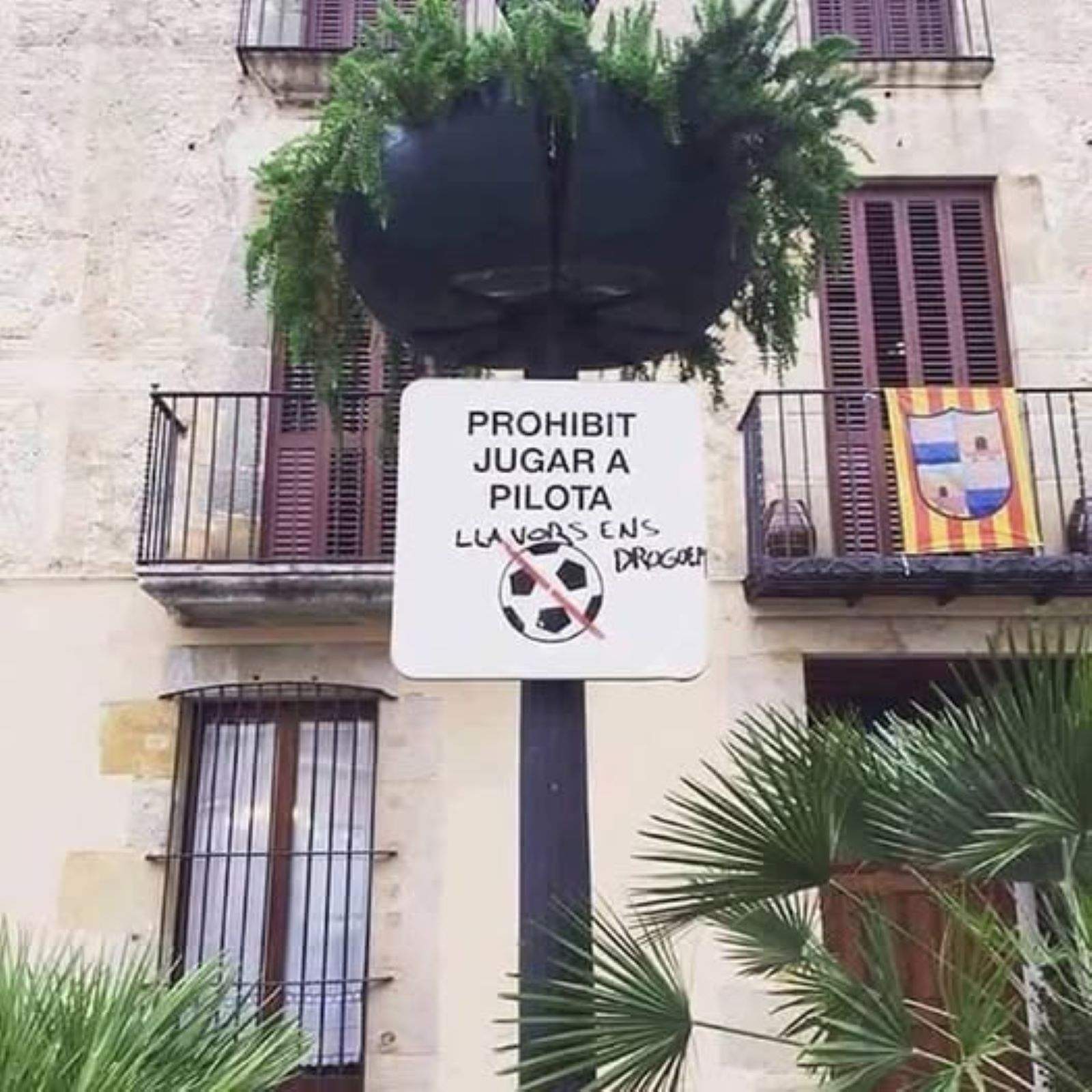 El síndic de Barcelona reclama quitar de las plazas los carteles de "prohibido jugar a pelota"