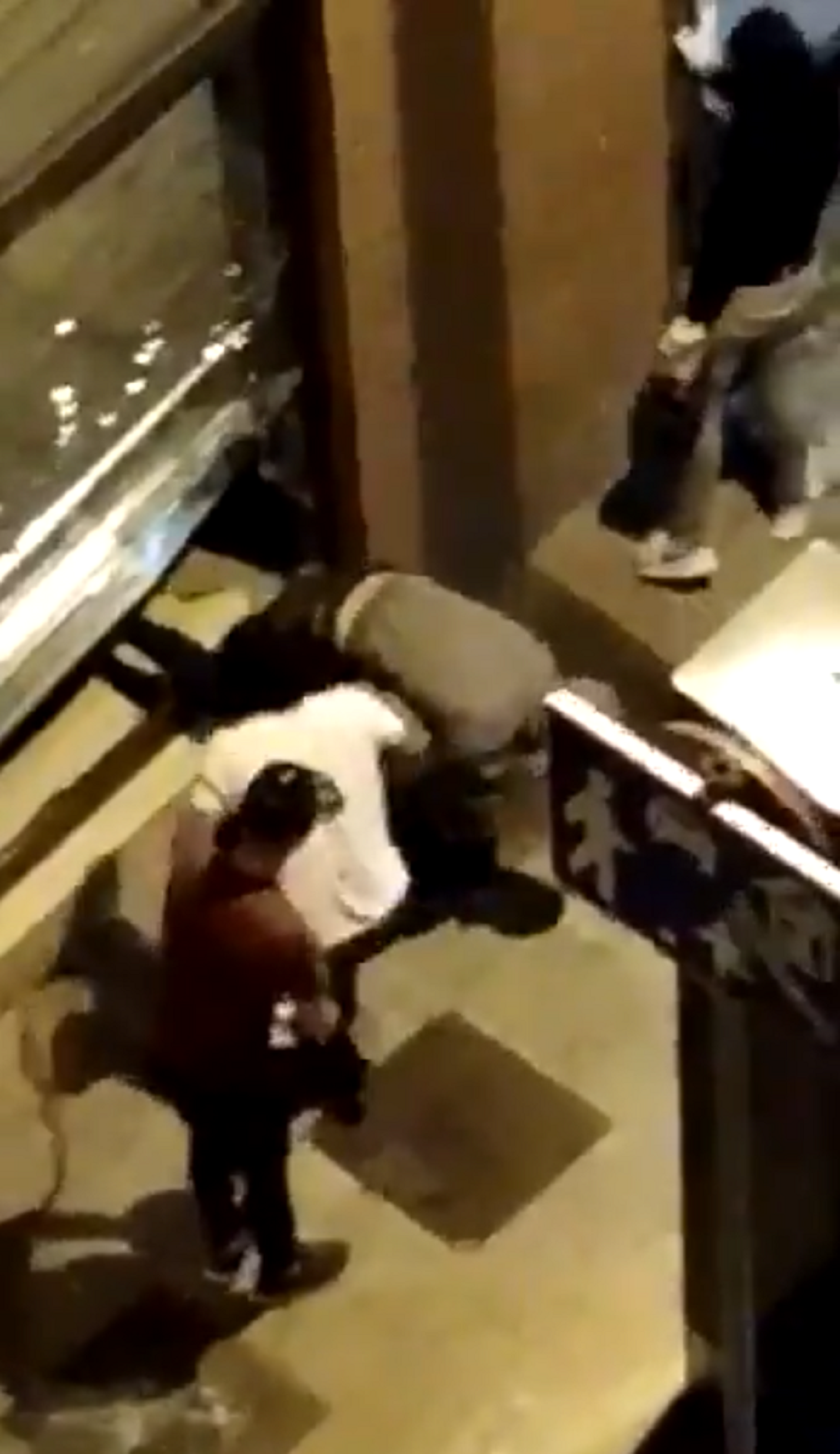 VÍDEO: Uns veïns graven el robatori a un restaurant de Barcelona
