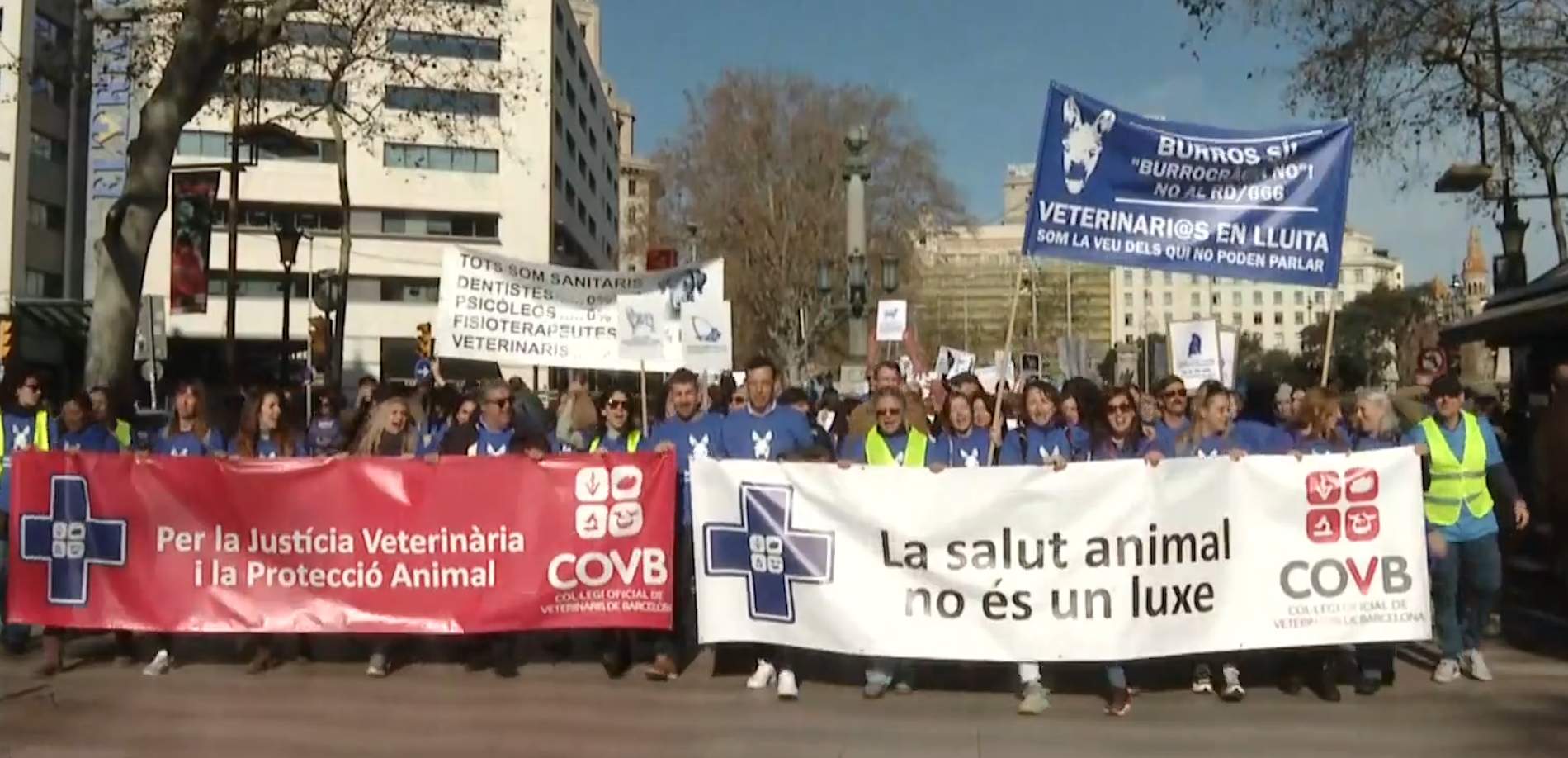 Capçalera de la manifestació dels veterinaris Capçalera de la manifestació dels veterinaris