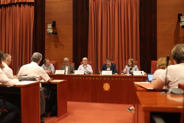 comissió parlament - Carles Palacio comissió parlament - Carles Palacio