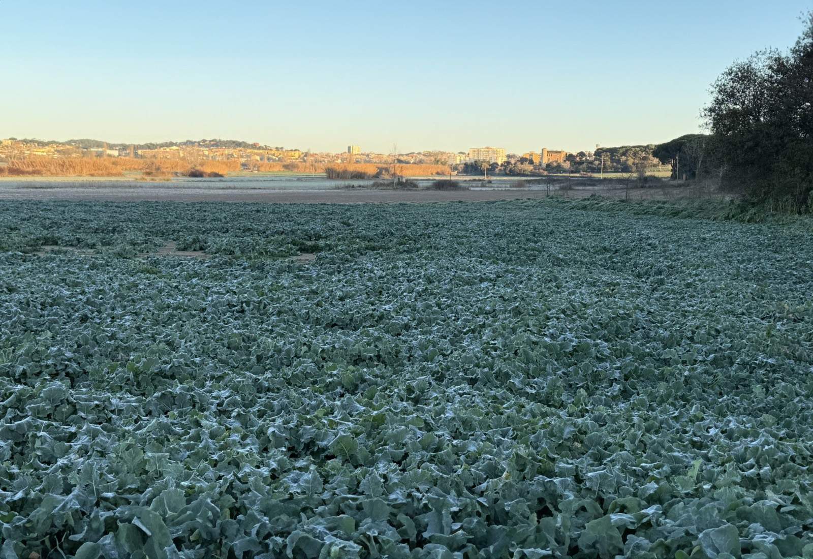 Calma tensa en Catalunya a la espera de novedades del tiempo y sorpresas meteorológicas