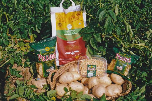 Patates de Prades / Foto: Cooperativa Agrícola de Prades Patates de Prades / Foto: Cooperativa Agrícola de Prades