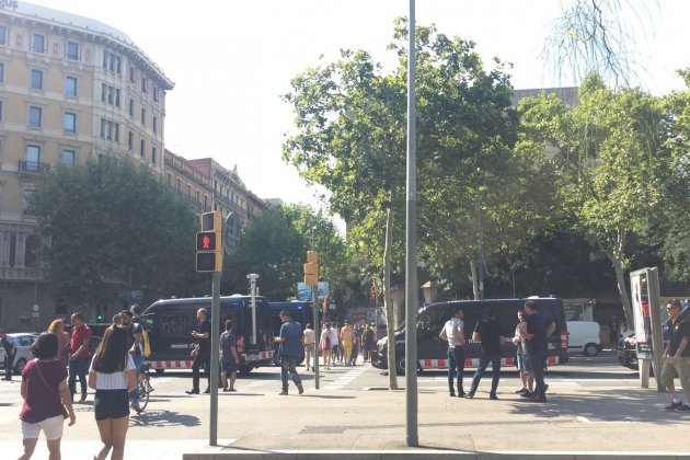 mossos vaga taxi