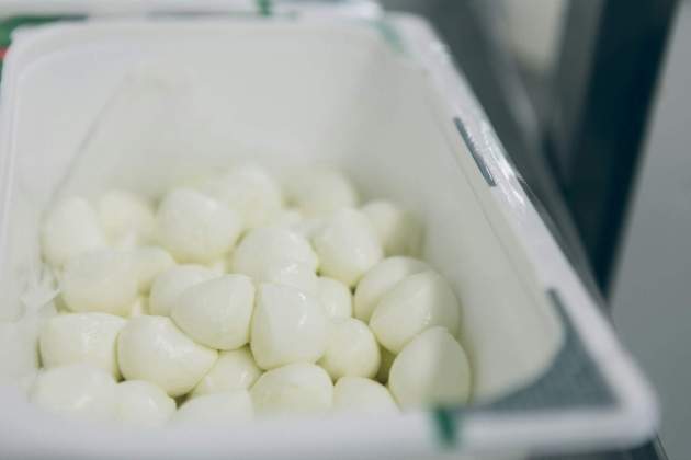 Mozzarella petita / Foto: Unsplash Mozzarella petita / Foto: Unsplash