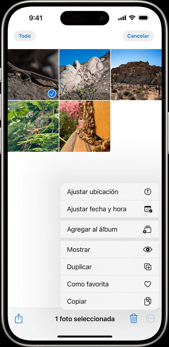 Cómo encontrar las fotos ocultas que se tienen en los iPhone y iPad de Apple