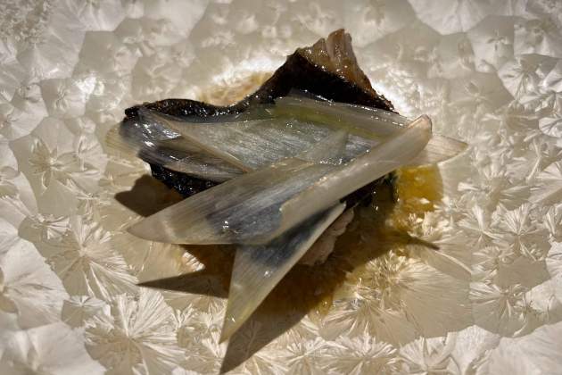 Turbot al Koy Shunka / Foto: Rosa Molinero Trias Turbot al Koy Shunka / Foto: Rosa Molinero Trias