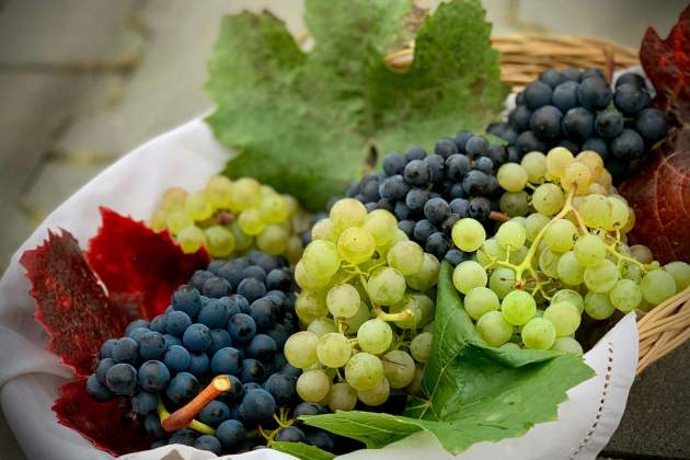 Uvas al natural / Foto: Unsplash Uvas al natural / Foto: Unsplash