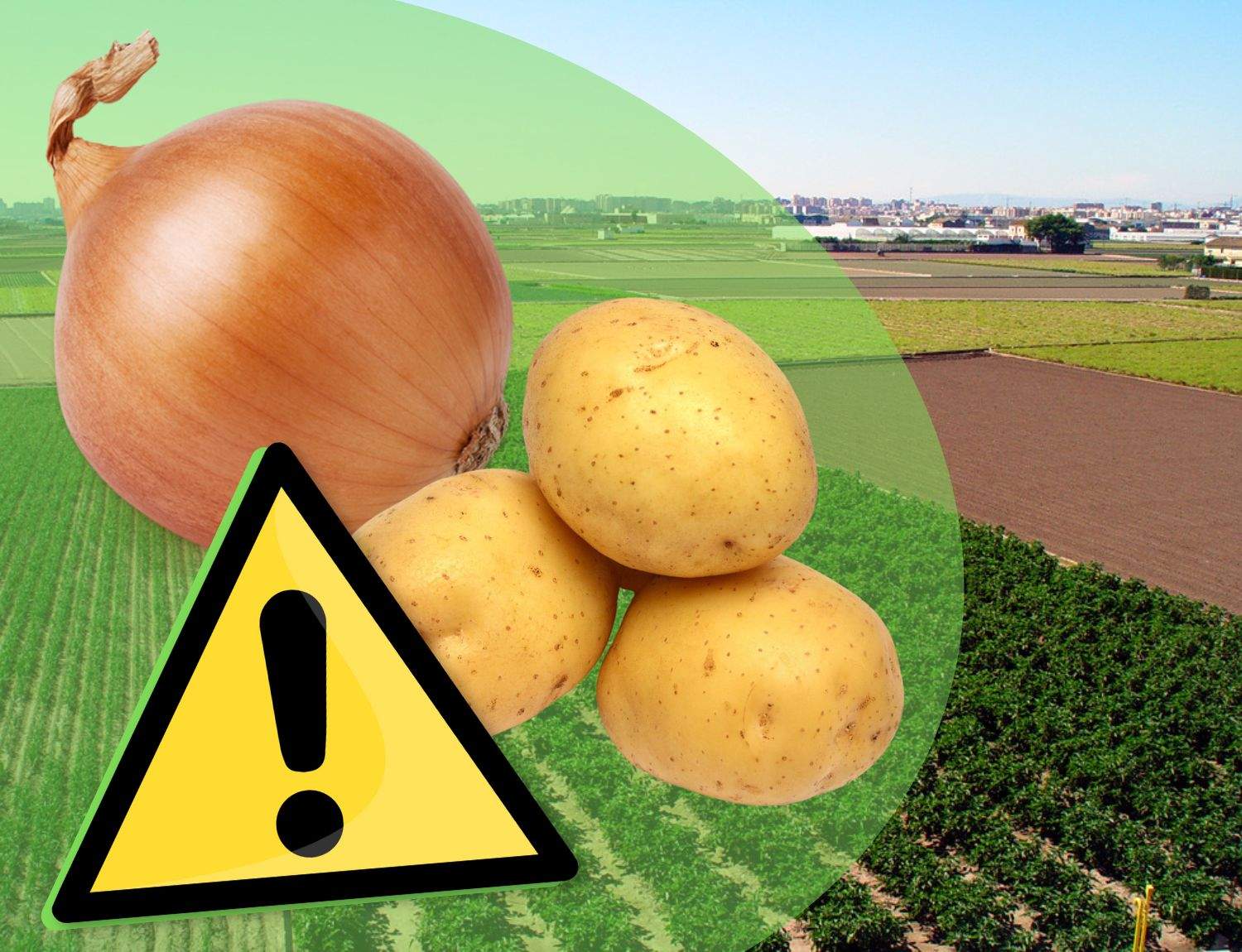 ¿Guardas las patatas y las cebollas juntas? Este es el motivo por el cual no tendrías que hacerlo