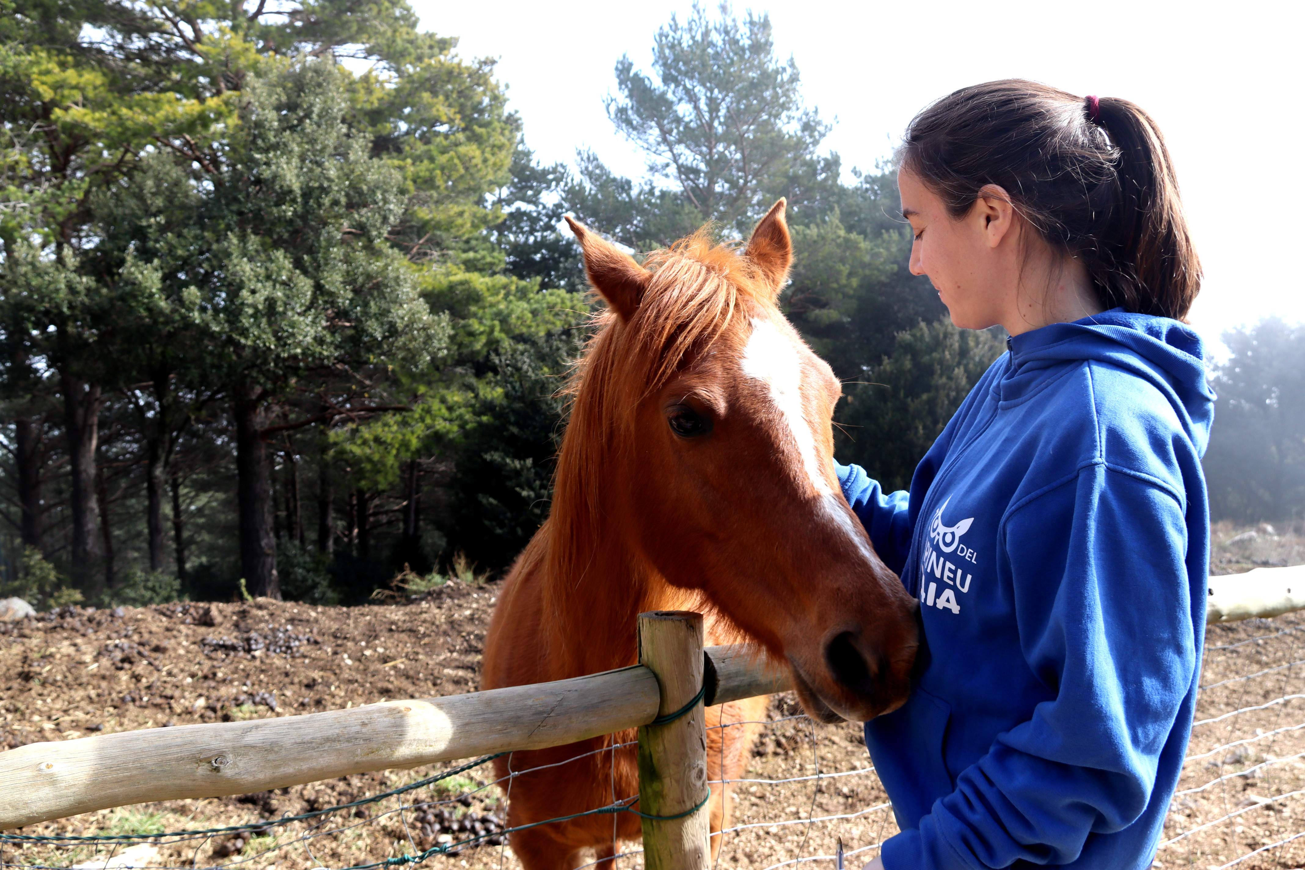 El Zoo del Pirineu, "al límit" de la seva capacitat després de rescatar 420 animals el 2024