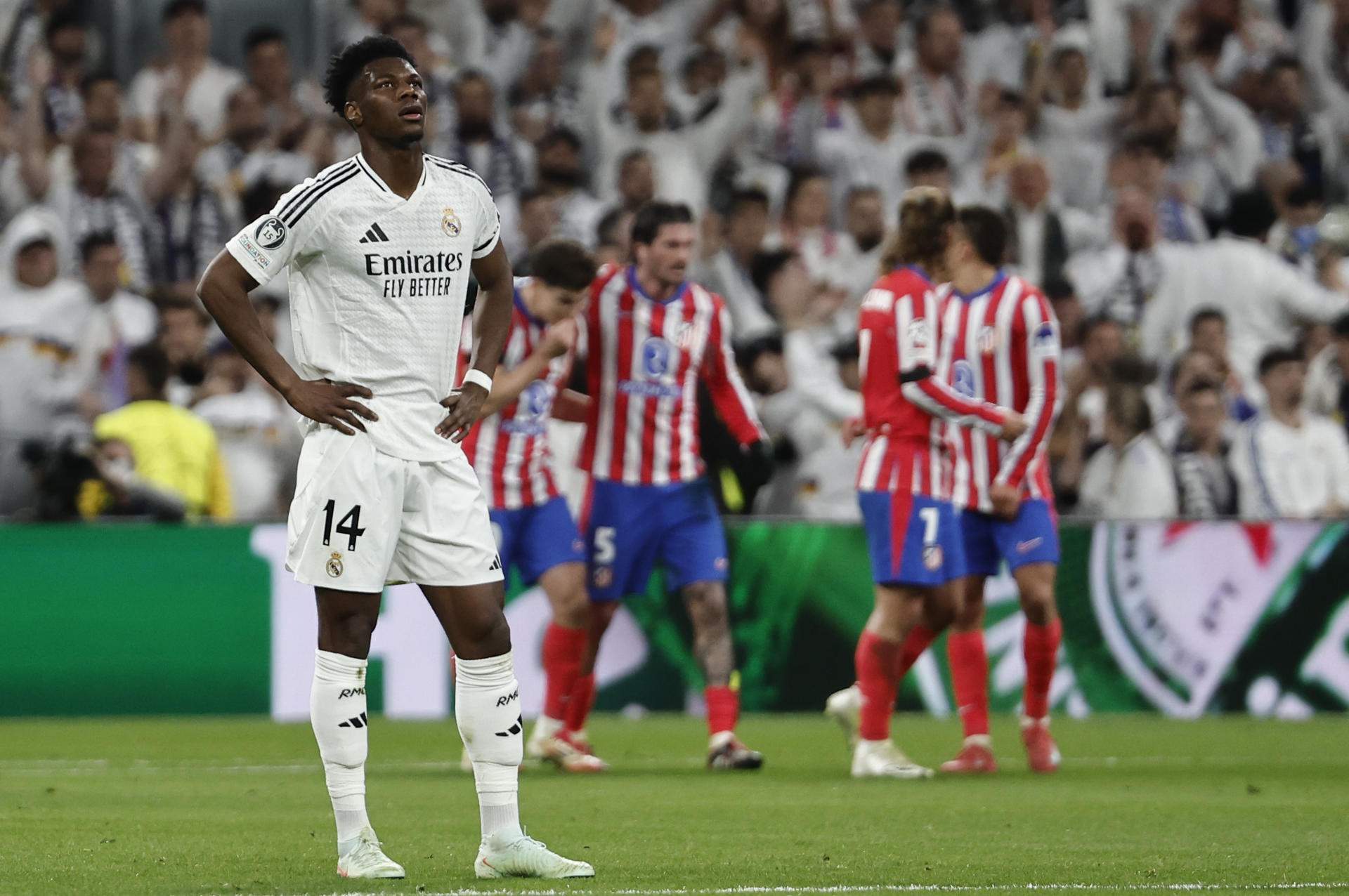 Tchouaméni, intocable, el Reial Madrid prefereix pagar 100 milions, però ofereix dos noms en el fitxatge