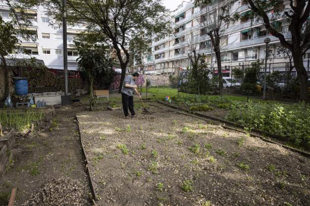 Jardí amenaçat por nuevo proyecto de 'Parques y Jardines' / Foto: Carlos Baglietto Jardí amenaçat por nuevo proyecto de 'Parques y Jardines' / Foto: Carlos Baglietto