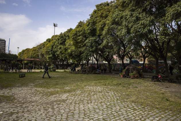 Jardí amenaçat por nuevo proyecto de 'Parques y Jardines' / Foto: Carlos Baglietto Jardí amenaçat por nuevo proyecto de 'Parques y Jardines' / Foto: Carlos Baglietto