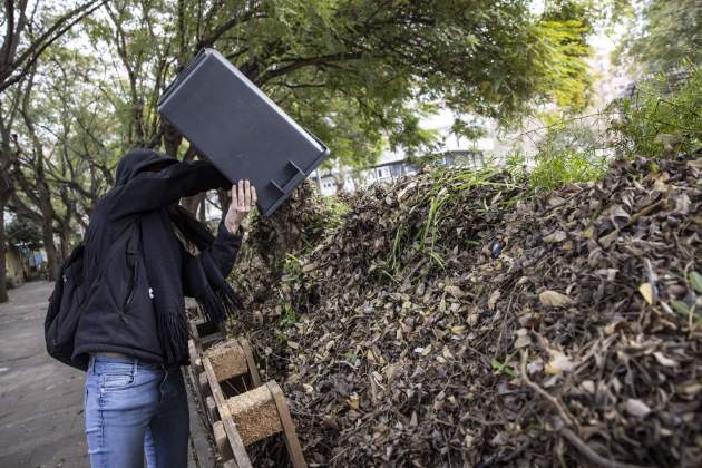 Jardí amenaçat por nuevo proyecto de 'Parques y Jardines' / Foto: Carlos Baglietto Jardí amenaçat por nuevo proyecto de 'Parques y Jardines' / Foto: Carlos Baglietto