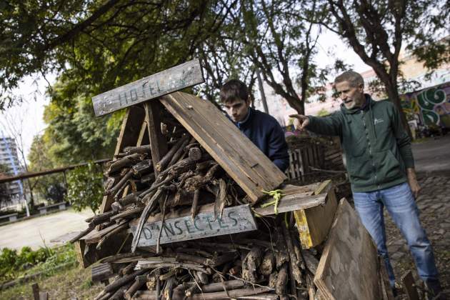 Jardí amenaçat por nuevo proyecto de 'Parques y Jardines' / Foto: Carlos Baglietto Jardí amenaçat por nuevo proyecto de 'Parques y Jardines' / Foto: Carlos Baglietto