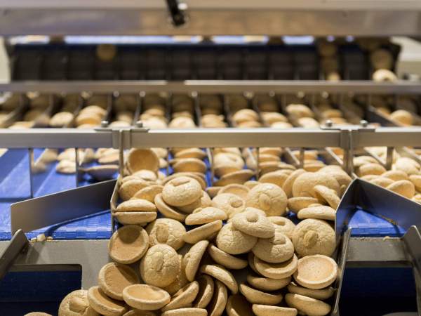 Línea de producción de la empresa Galetes Trias Línea de producción de la empresa Galetes Trias