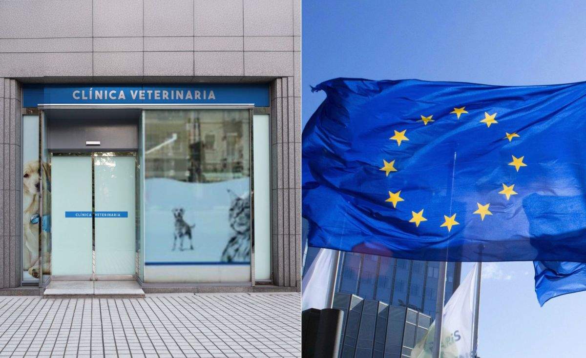 PRESVET redueix un 18% les prescripcions innecessàries d'antibiòtics en mascotes