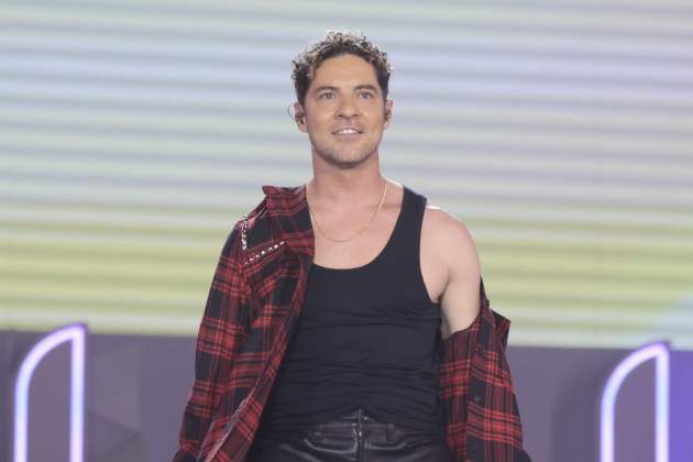 David Bisbal / Gtres David Bisbal / Gtres