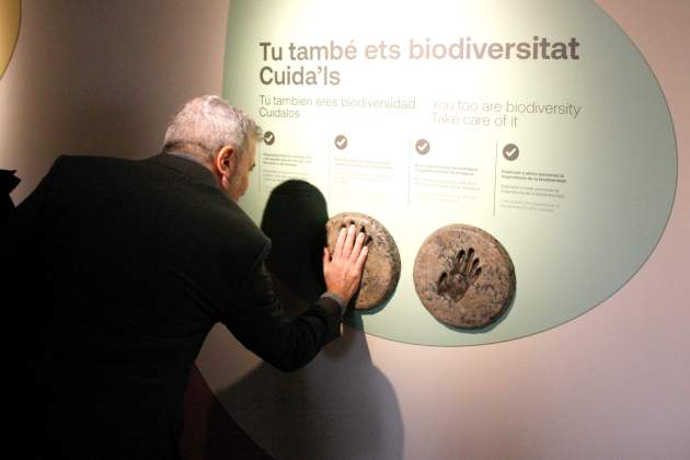 collboni espacio inmersivo zoo barcelona acn collboni espacio inmersivo zoo barcelona acn