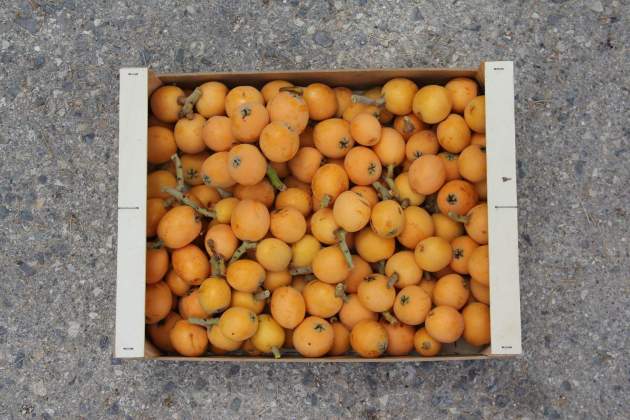 Fruita nespres, nísperos / Foto: Pixabay Fruita nespres, nísperos / Foto: Pixabay