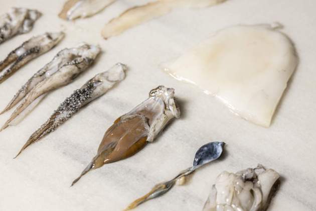 20250324 ADA PARELLADA mayonesas caracoles|tornillos coca sipia / Foto: Montse Giralt