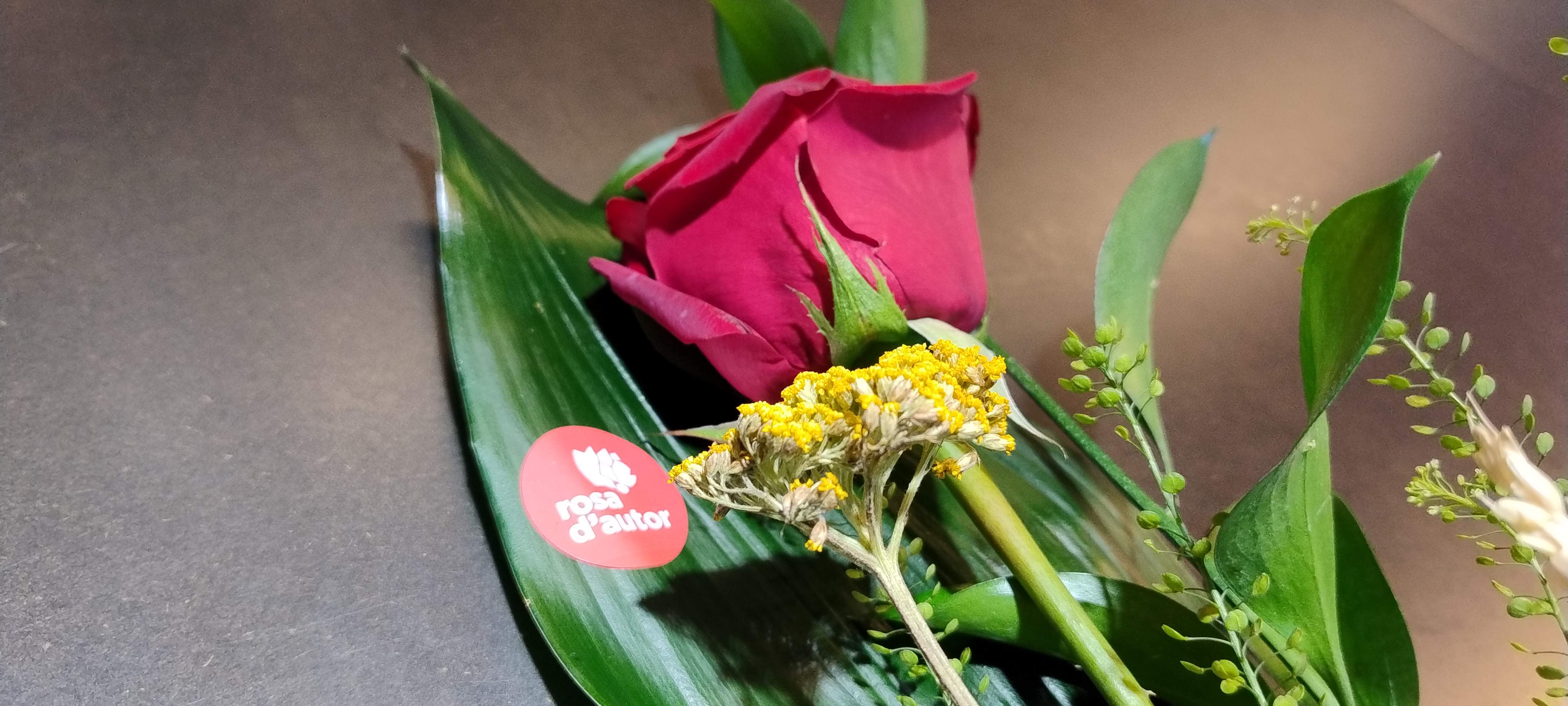 Els floristes preparen Sant Jordi amb un logo per la ‘Rosa d’autor’ davant “l’intrusisme de particulars”