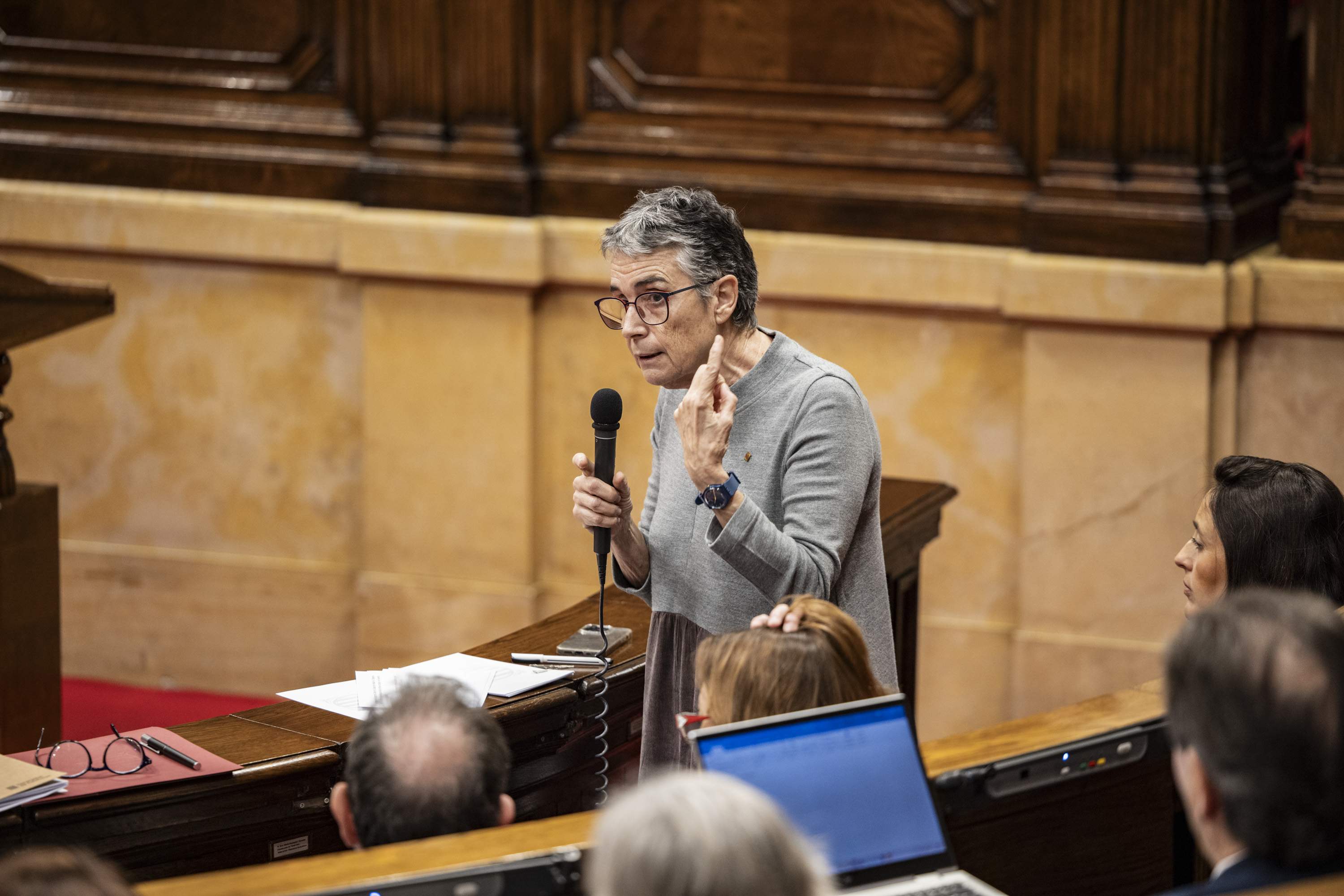 Ple Parlament sessió de control pané salut / foto: Carlos Baglietto