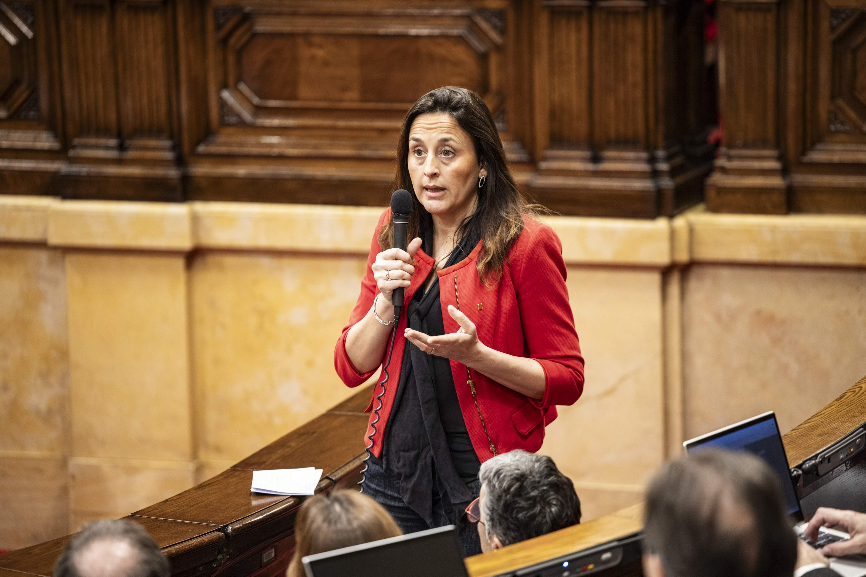 El PP també demana la compareixença de Niubó per la falta de places a FP i la titlla "d'inútil"