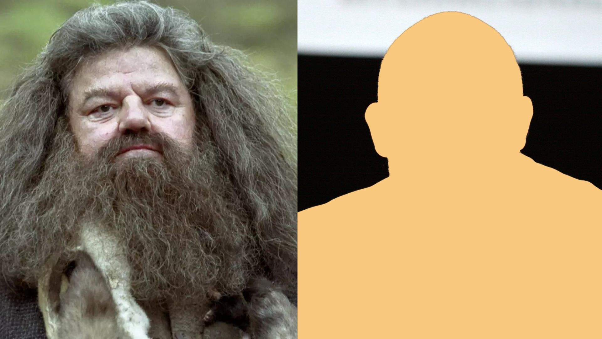 La serie de Harry Potter ya tiene a su Hagrid y es un comediante británico
