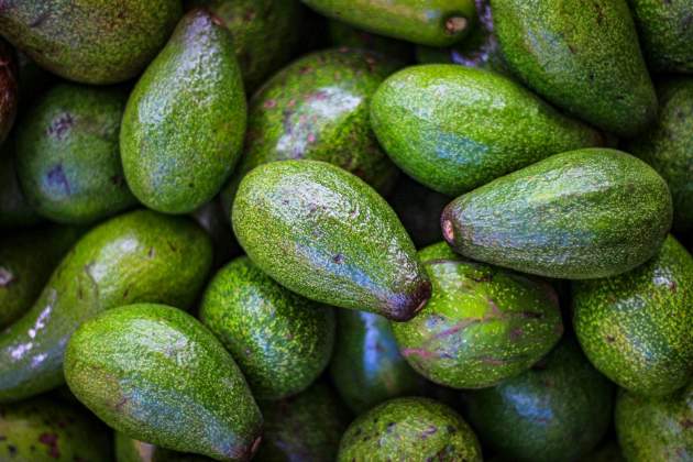Se necesitan enormes cantidades de agua para su riego / Foto: Unsplash Se necesitan enormes cantidades de agua para su riego / Foto: Unsplash