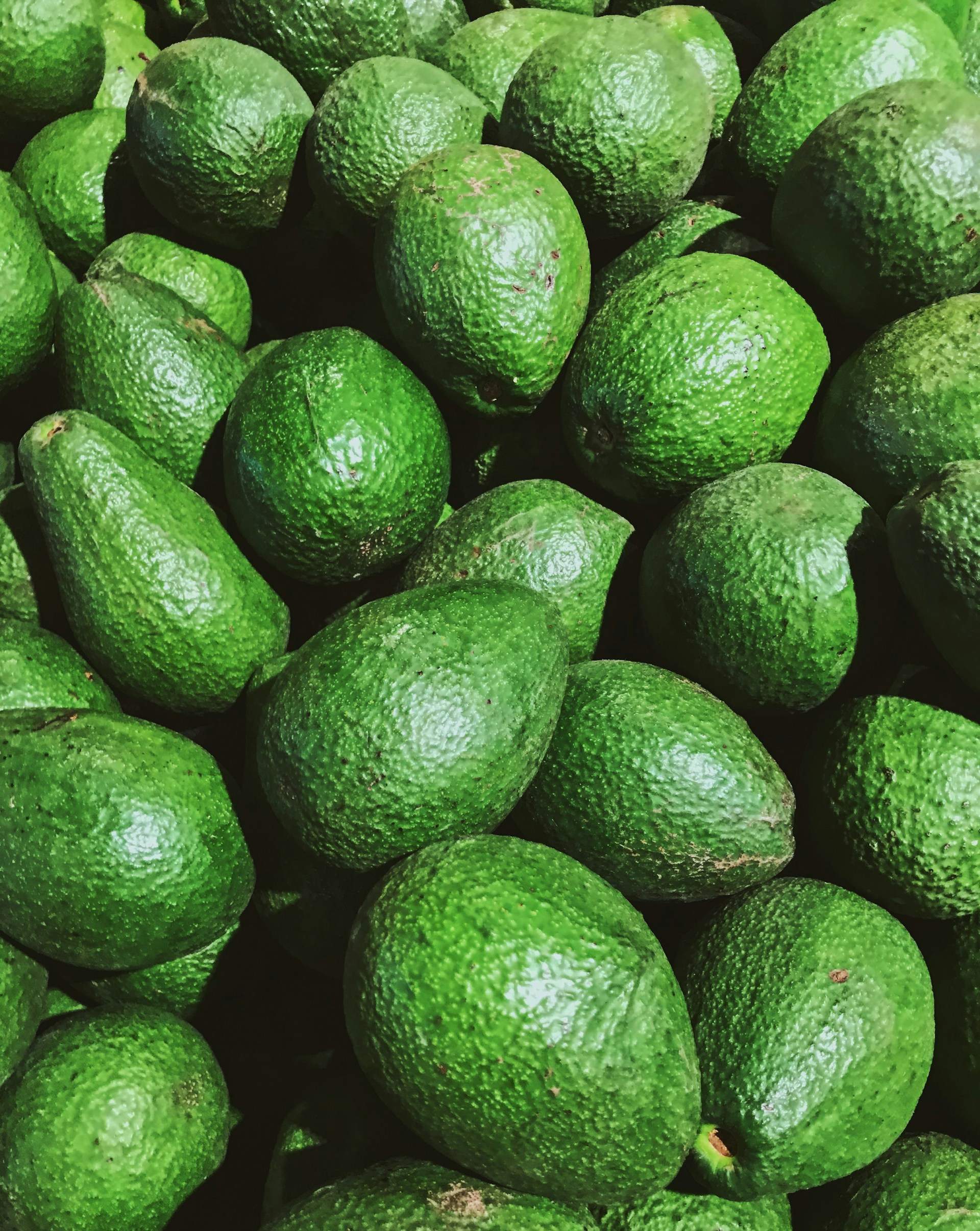 Por qué los aguacates ya no deberían existir en absoluto