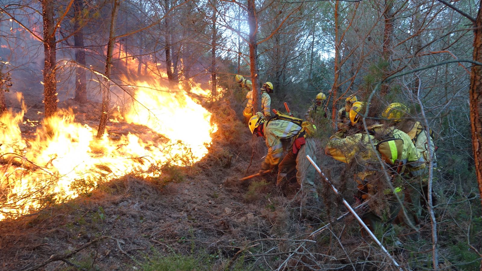 El fuego quema La Vall d'Albaida y obliga a desalojar a 2.500 personas